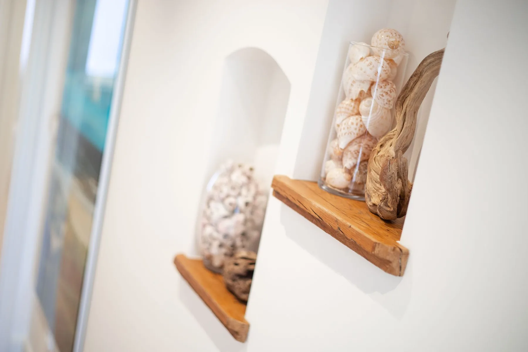 A white wall features recessed display niches with shells and wooden shelves.
