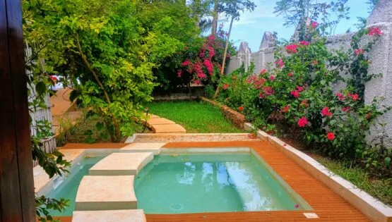 Suite júnior con jacuzzi solo para adultos
