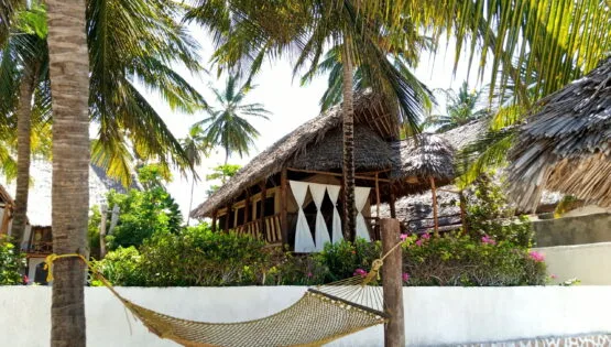 Tienda de safari de semilujo