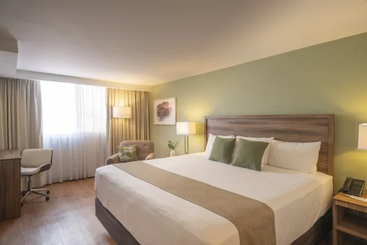 Stanza Hotel CDMX King room with king bed, desk and natural light