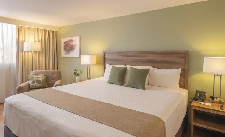Stanza Hotel room with a king bed