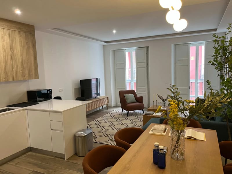 Impressive 3BR Sunny Terrace in Chueca