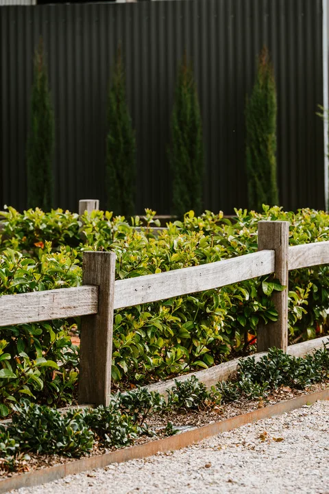 A landscaped garden bed with shrubs sits behind a low wooden fence.