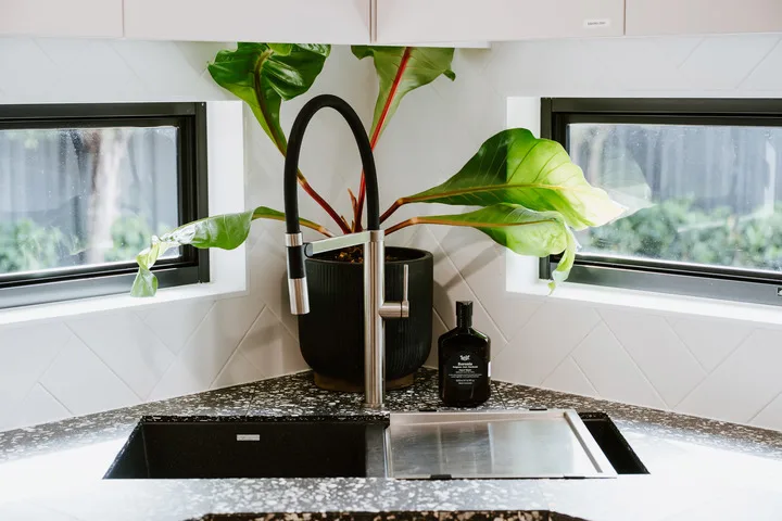 A kitchen sink sits beneath two windows, with a leafy plant on the counter.