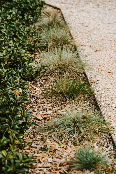 A gravel garden path runs alongside low shrubs and tufts of ornamental grass.