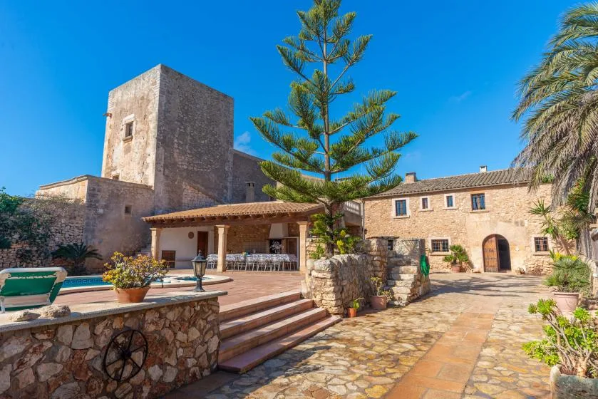 Un patio de piedra con una zona de estar cubierta y un árbol de hoja perenne alto.