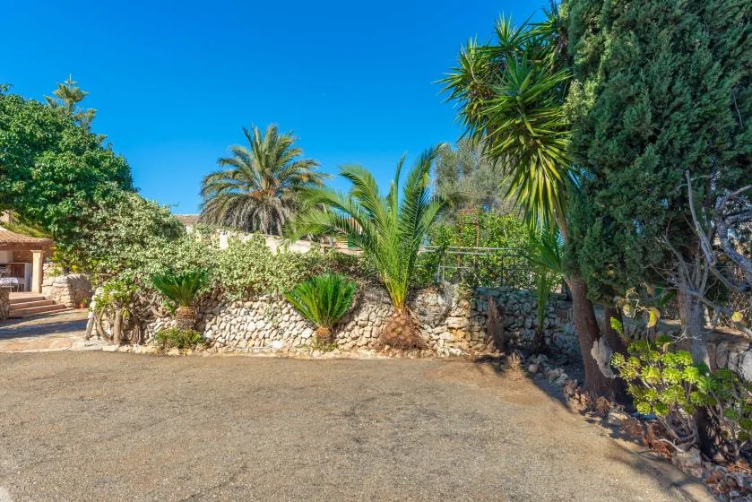 Un patio ajardinado con un muro de piedra, palmeras y una zona pavimentada abierta.