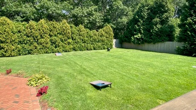 Un patio ajardinado tiene un amplio césped verde bordeado de árboles y setos.