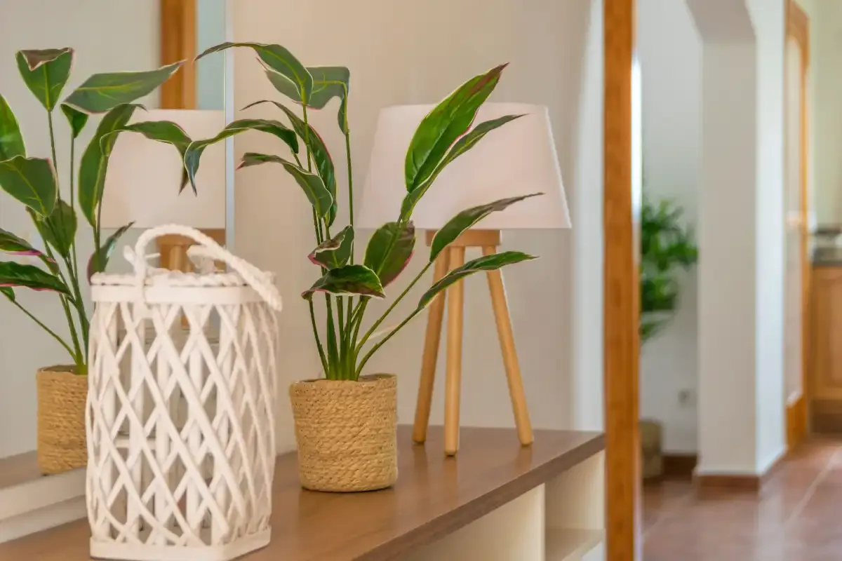 A hallway console holds leafy plants, a woven lantern, and a small table lamp.