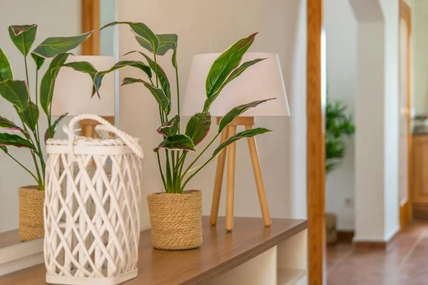 A console table displays potted plants beside a tripod floor lamp.