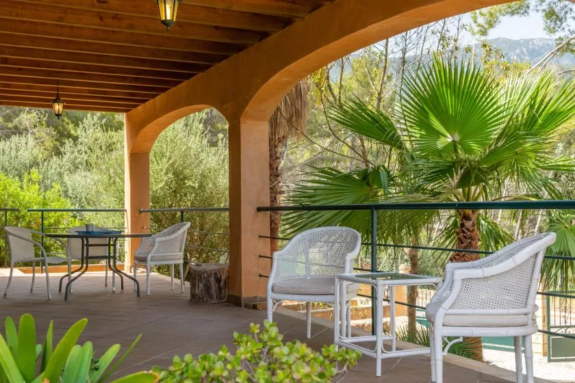 A covered terrace with outdoor seating overlooks leafy trees and a fan palm.