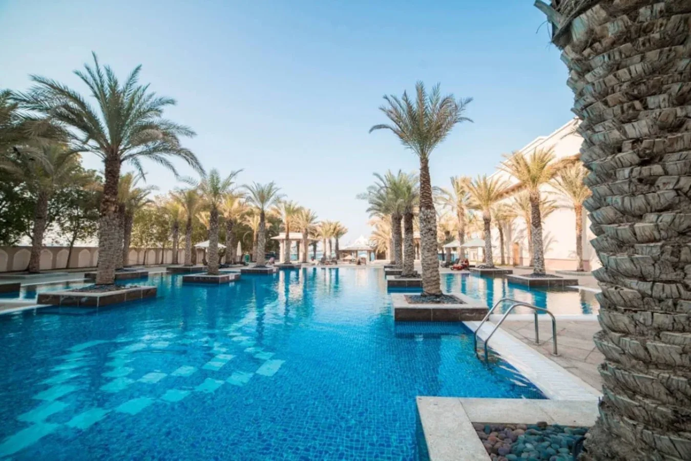 A large outdoor swimming pool is surrounded by palm trees and paved walkways.