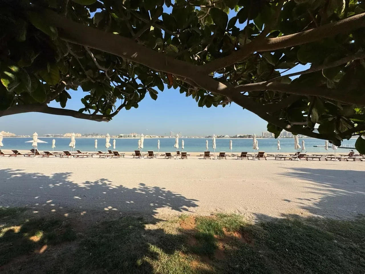 A shaded beach overlooks calm blue water and a row of beach umbrellas.