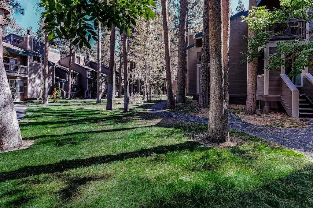 Un patio con césped, árboles maduros y edificios de poca altura.