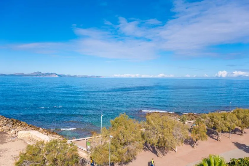Un paseo junto al mar bordea aguas azules tranquilas bajo un cielo parcialmente nublado.