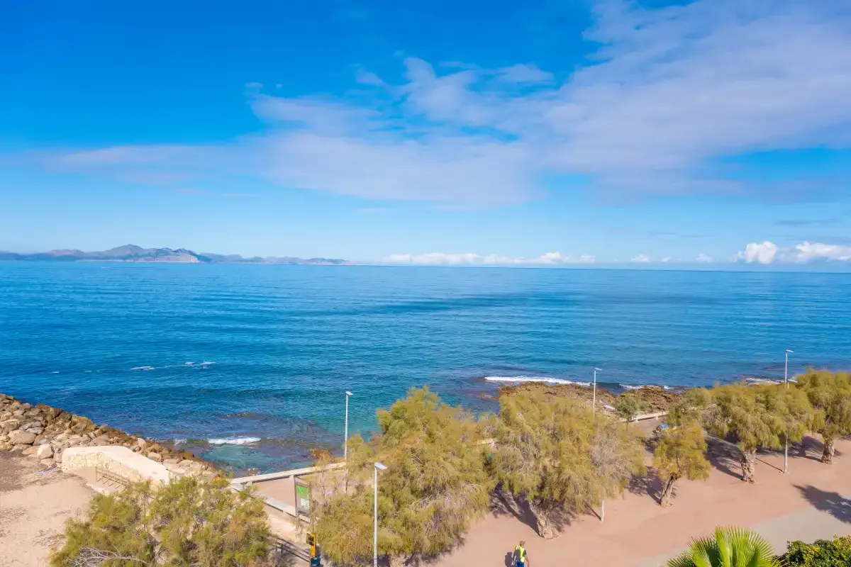 Un sendero costero bordea vegetación baja, con el mar y colinas lejanas al fondo.