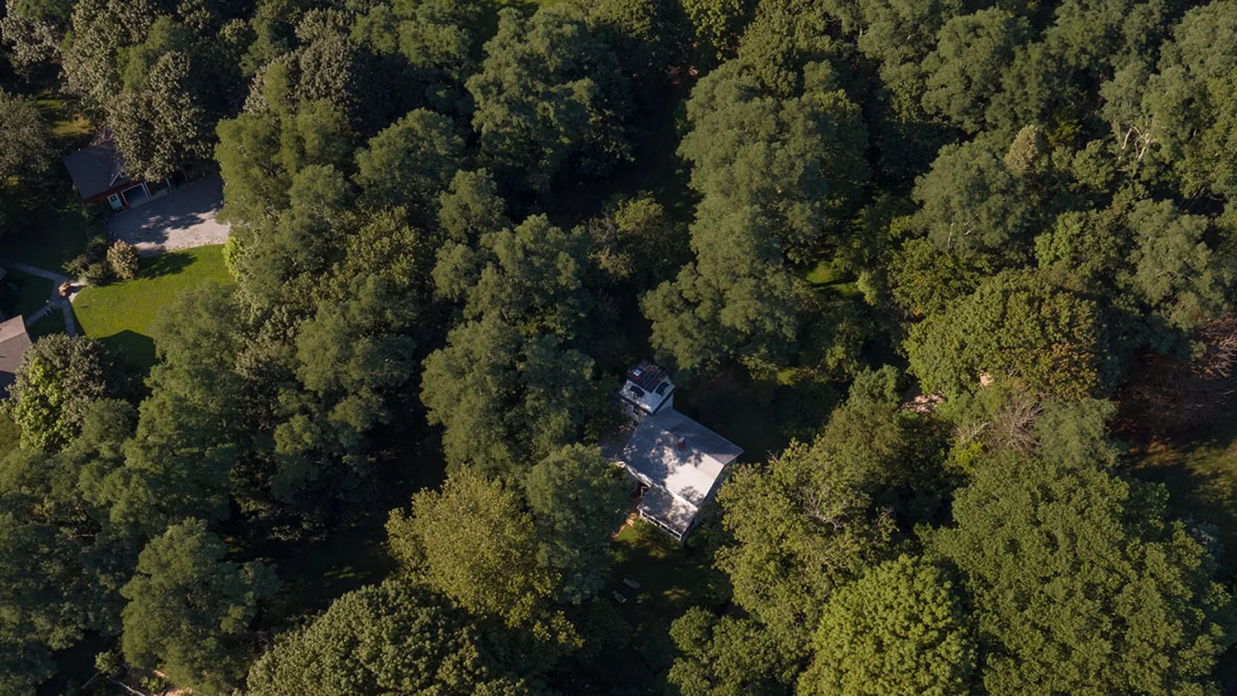 An aerial view shows a house surrounded by dense trees.