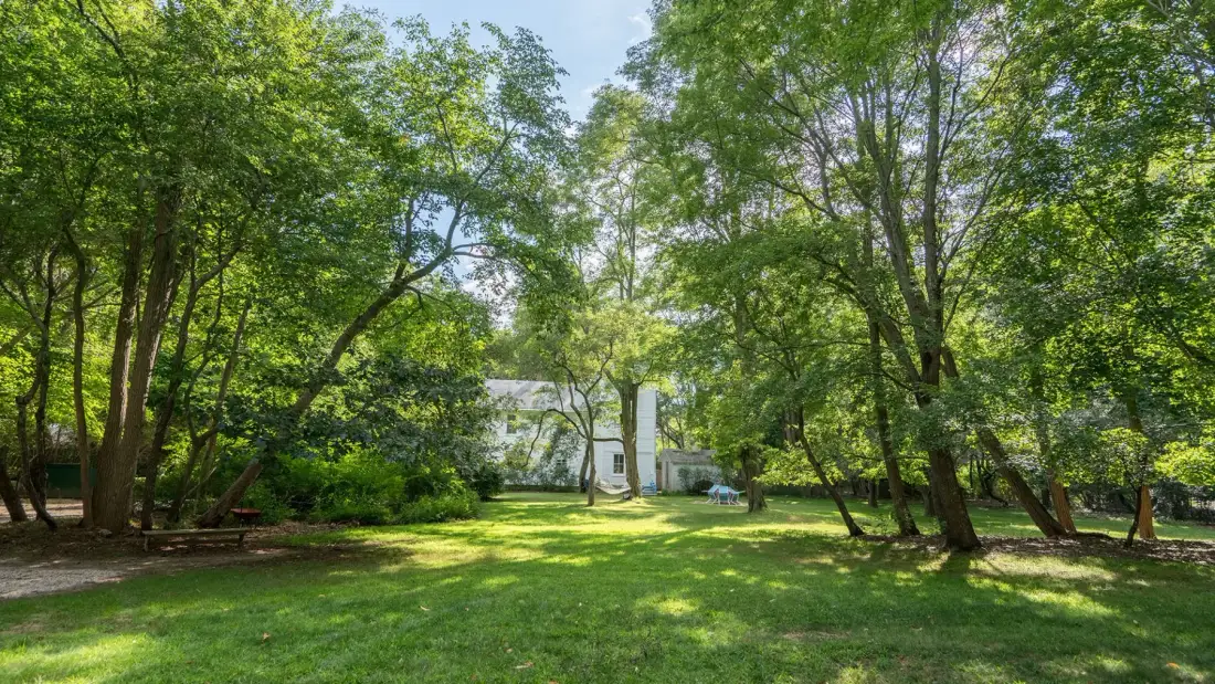A tree-lined yard with a grassy lawn and a building in the background.