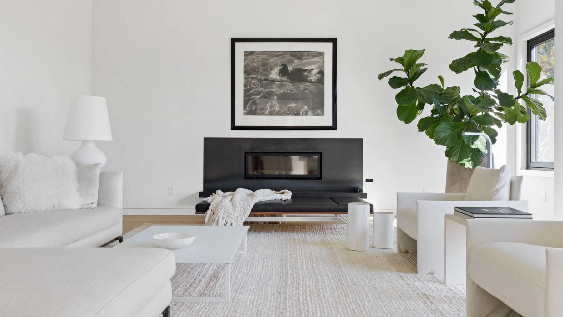 Una sala luminosa con asientos blancos, una chimenea y una planta de hojas grandes.