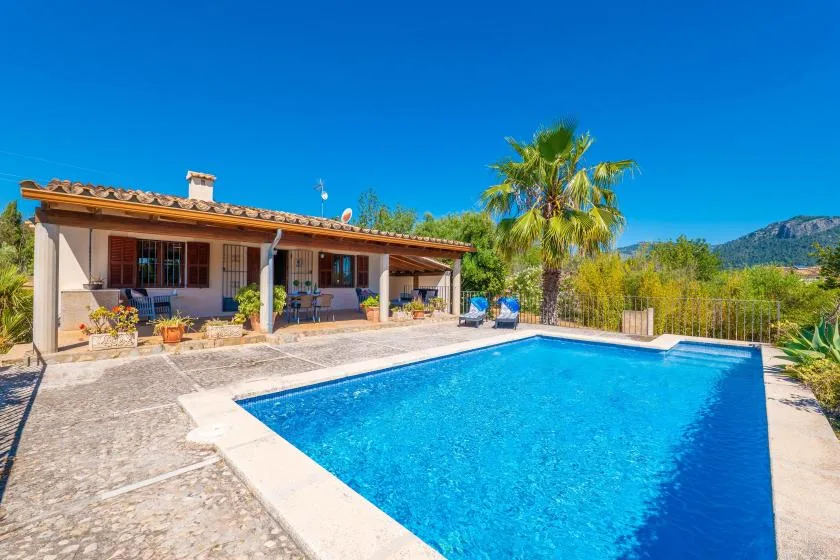 Una piscina junto a un patio cubierto y una palmera.