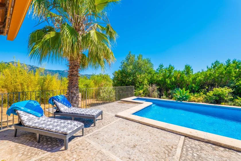 Una piscina al aire libre junto a un patio pavimentado con tumbonas y una palmera.