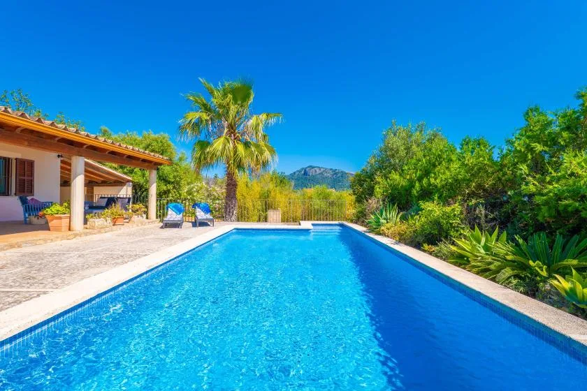 Una piscina junto a un patio sombreado, con palmeras y vegetación.