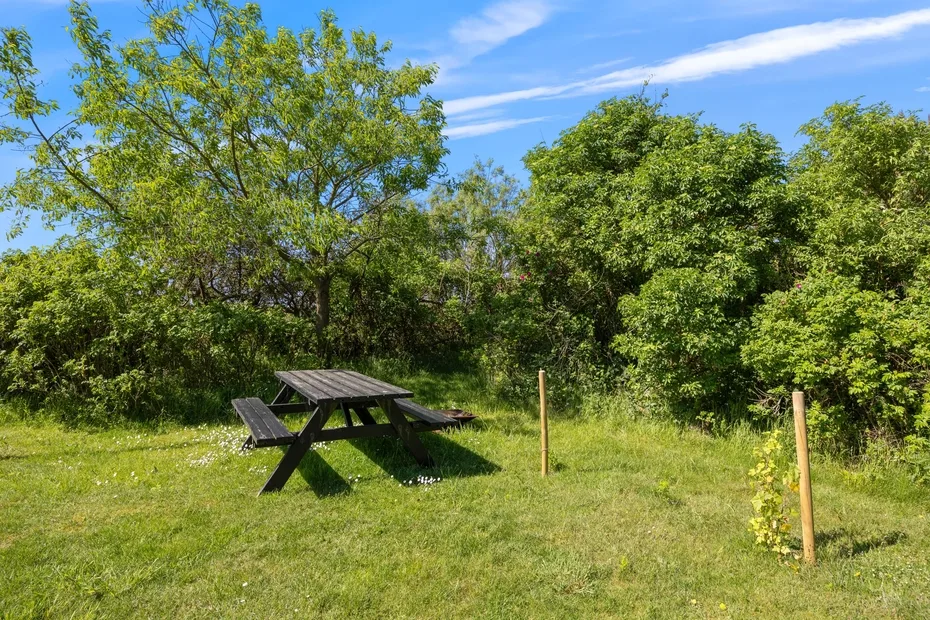 Un claro al aire libre cubierto de hierba, con una mesa de picnic de madera bajo árboles frondosos.