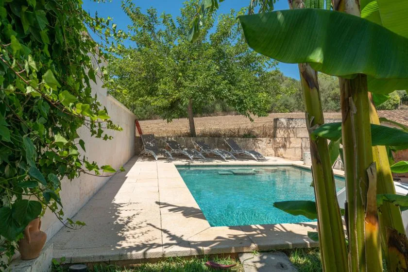 Una piscina al aire libre junto a una terraza pavimentada y plantas frondosas.