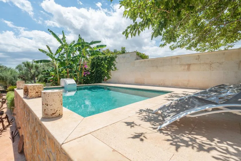 Una piscina exterior está junto a una terraza de piedra clara y plantas frondosas.