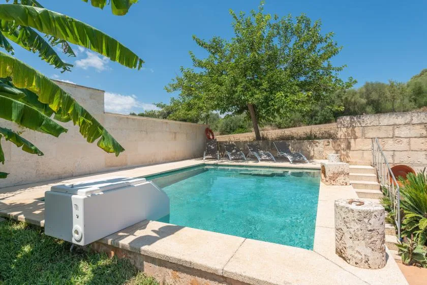 Una piscina al aire libre junto a escalones de piedra y un árbol frondoso.