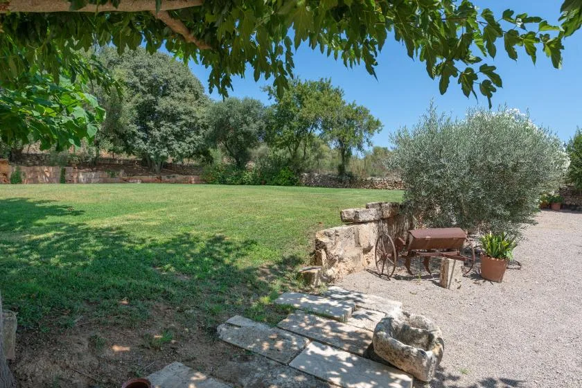 Un jardín frondoso con césped abierto, escalones de piedra y asientos al aire libre.