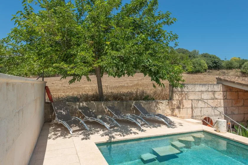 Un patio junto a una piscina, con asientos reclinables bajo un árbol frondoso.