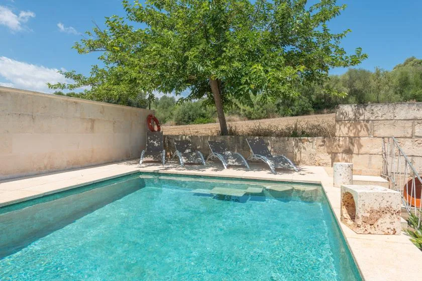 Una piscina al aire libre está bajo un árbol frondoso, con asientos junto al borde.