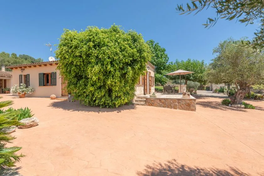 Un patio soleado junto a una casa color durazno, con un gran árbol frondoso y asientos a la sombra.