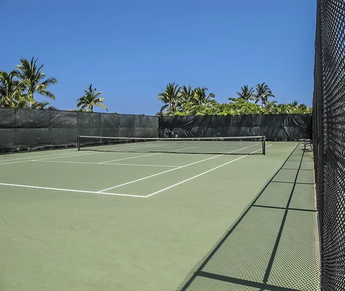 Una cancha de tenis al aire libre con líneas blancas y palmeras al otro lado de la cerca.