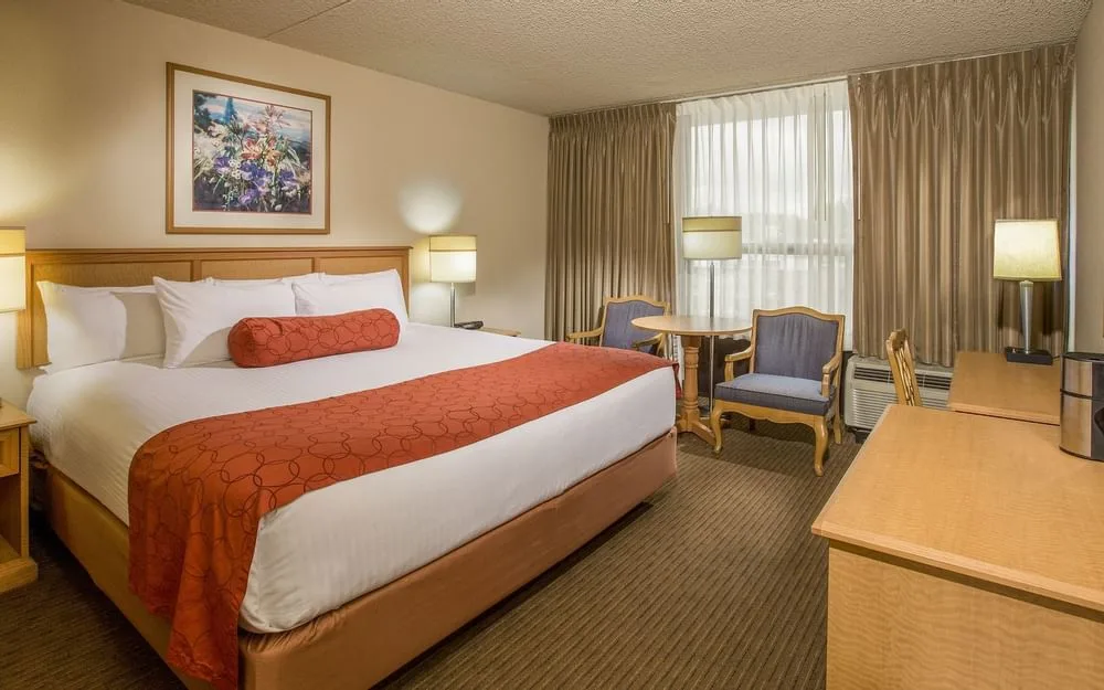 Standard king guestroom