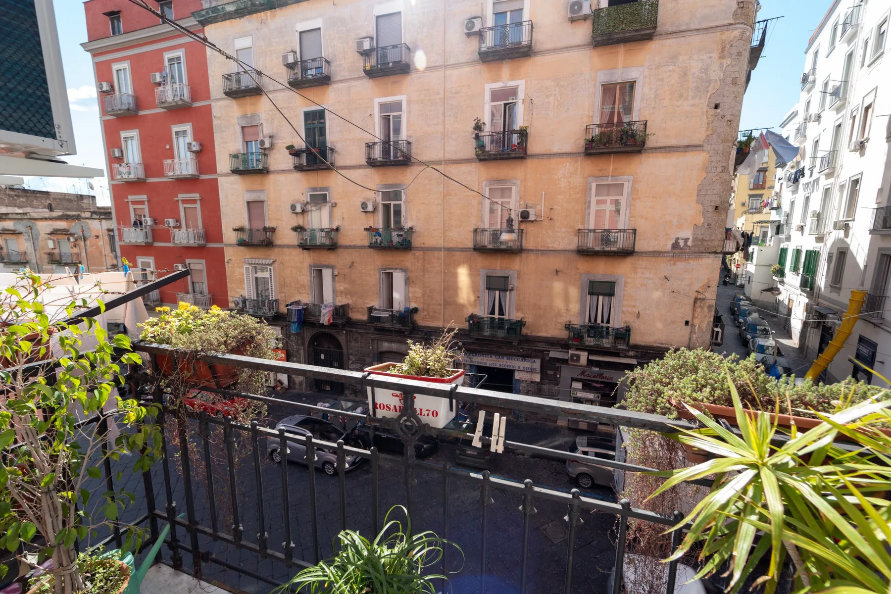 Un balcón da a una calle flanqueada por edificios de varias plantas y plantas en primer plano.
