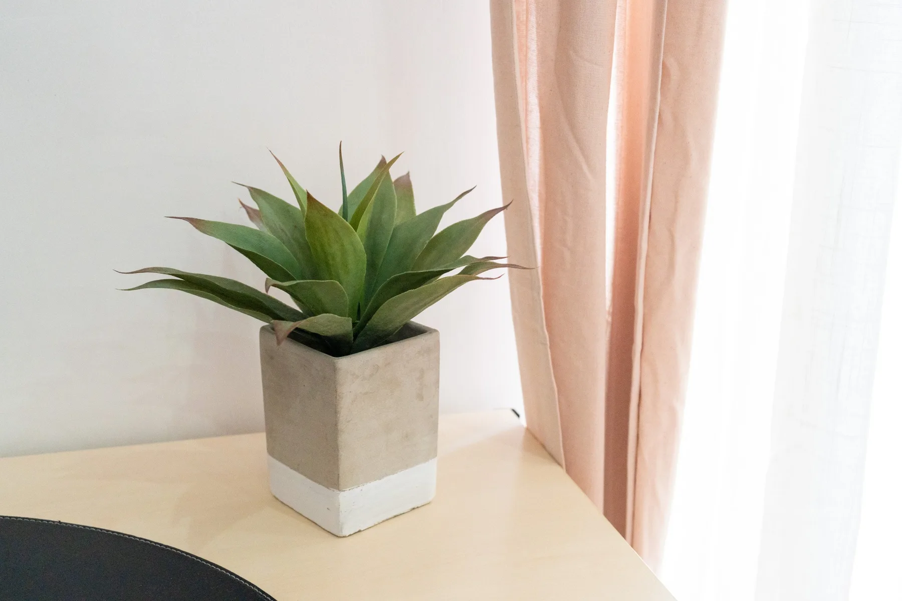 Una planta en maceta está sobre una superficie clara junto a una cortina rosa.