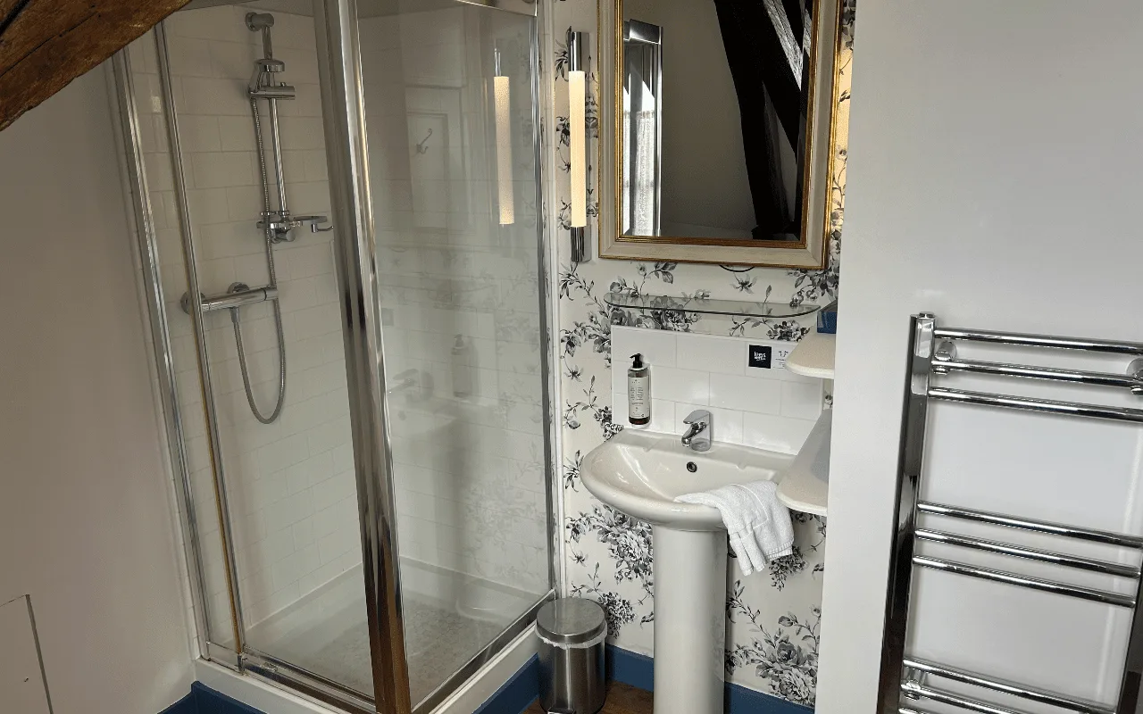 Deluxe Double/Triple room
