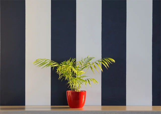 Oyster Box guesthouse gallery image