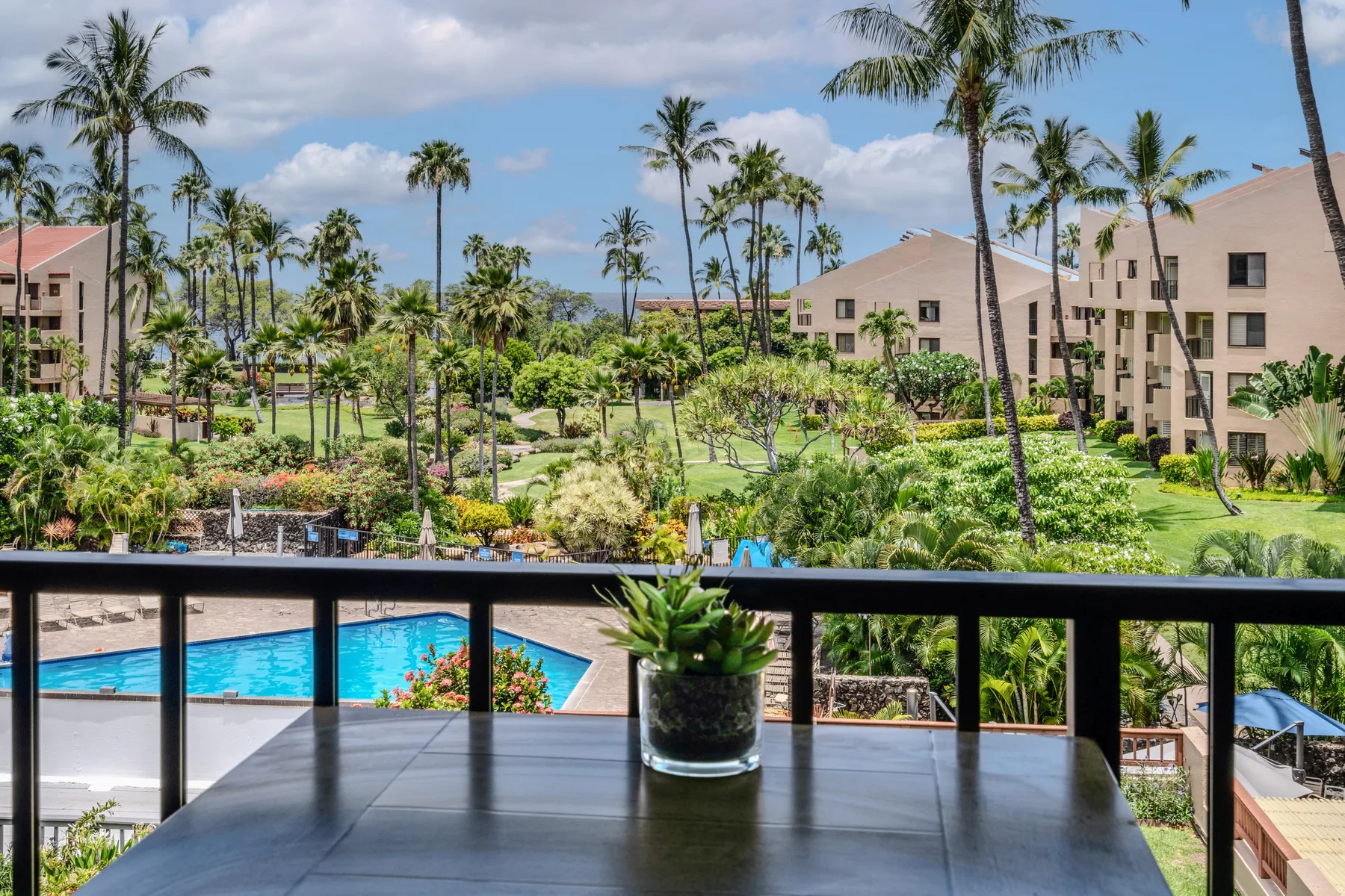 A balcony overlooks a swimming pool and landscaped grounds with palm trees.
