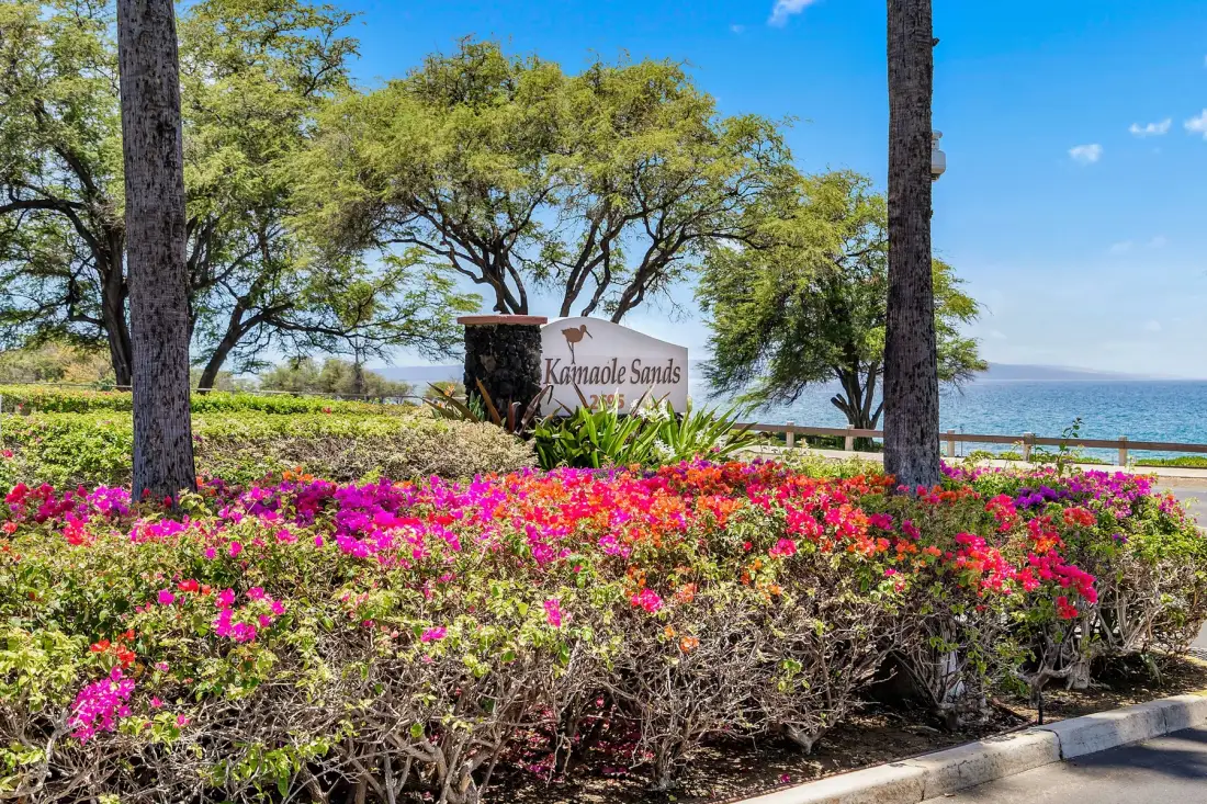A landscaped garden with flowering shrubs, trees, and a view of the water.
