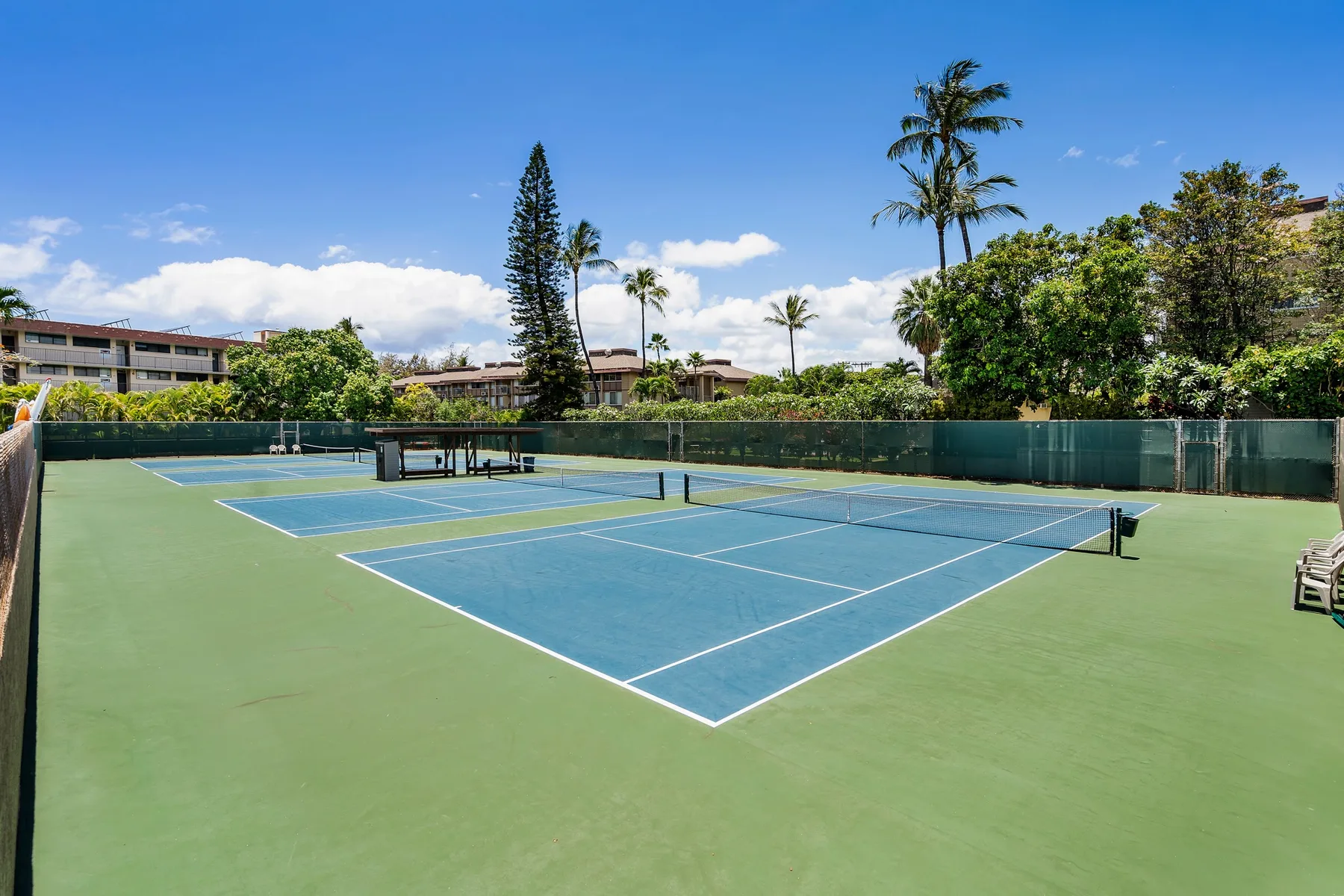 An outdoor tennis court with green surroundings and palm trees.