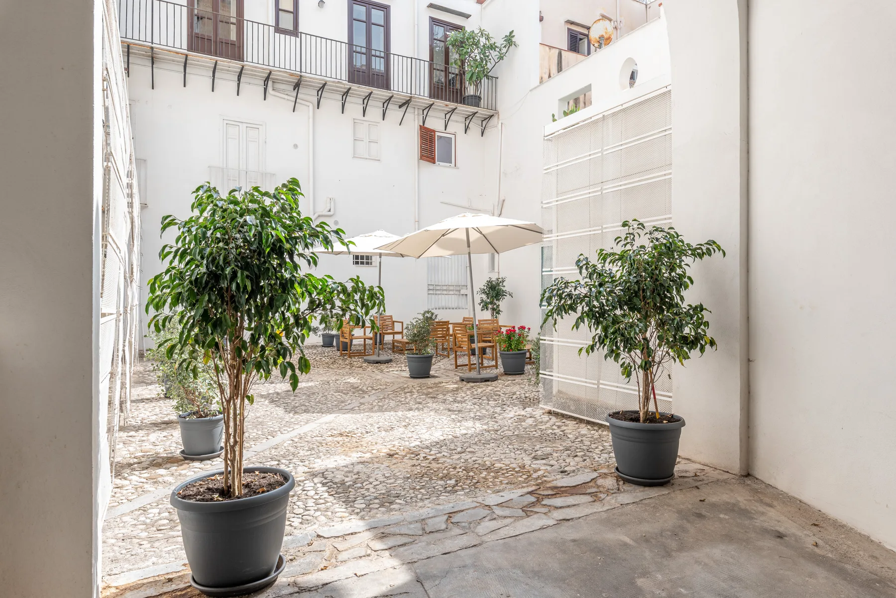 Un patio luminoso tiene árboles en macetas, asientos al aire libre y una sombrilla.