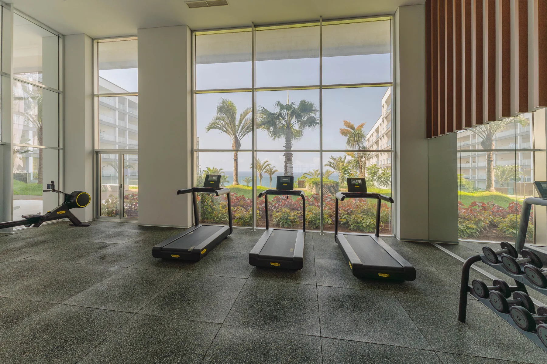 A gym with treadmills and weight equipment beside large windows.