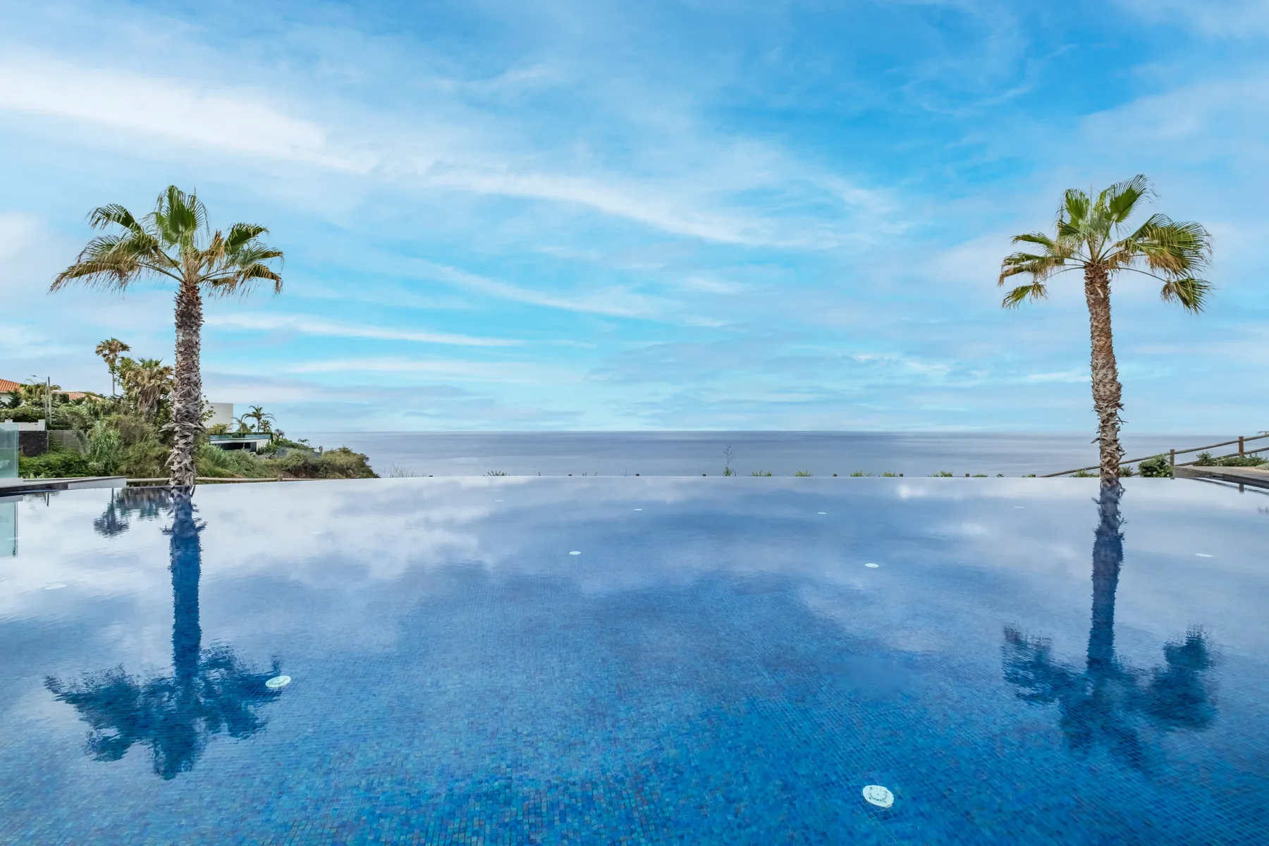 An infinity pool overlooks the ocean, with palm trees framing the view.