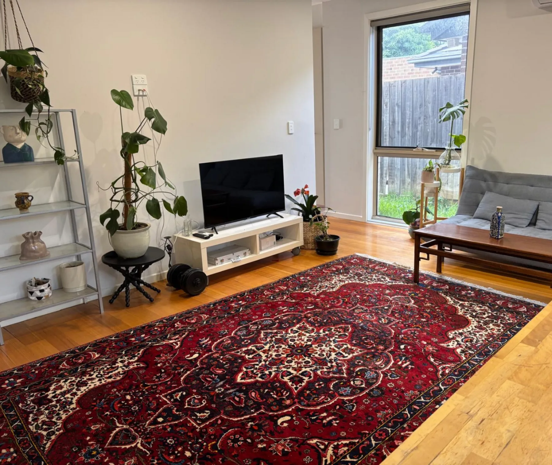 A living room with a television, plants, and a patterned rug.