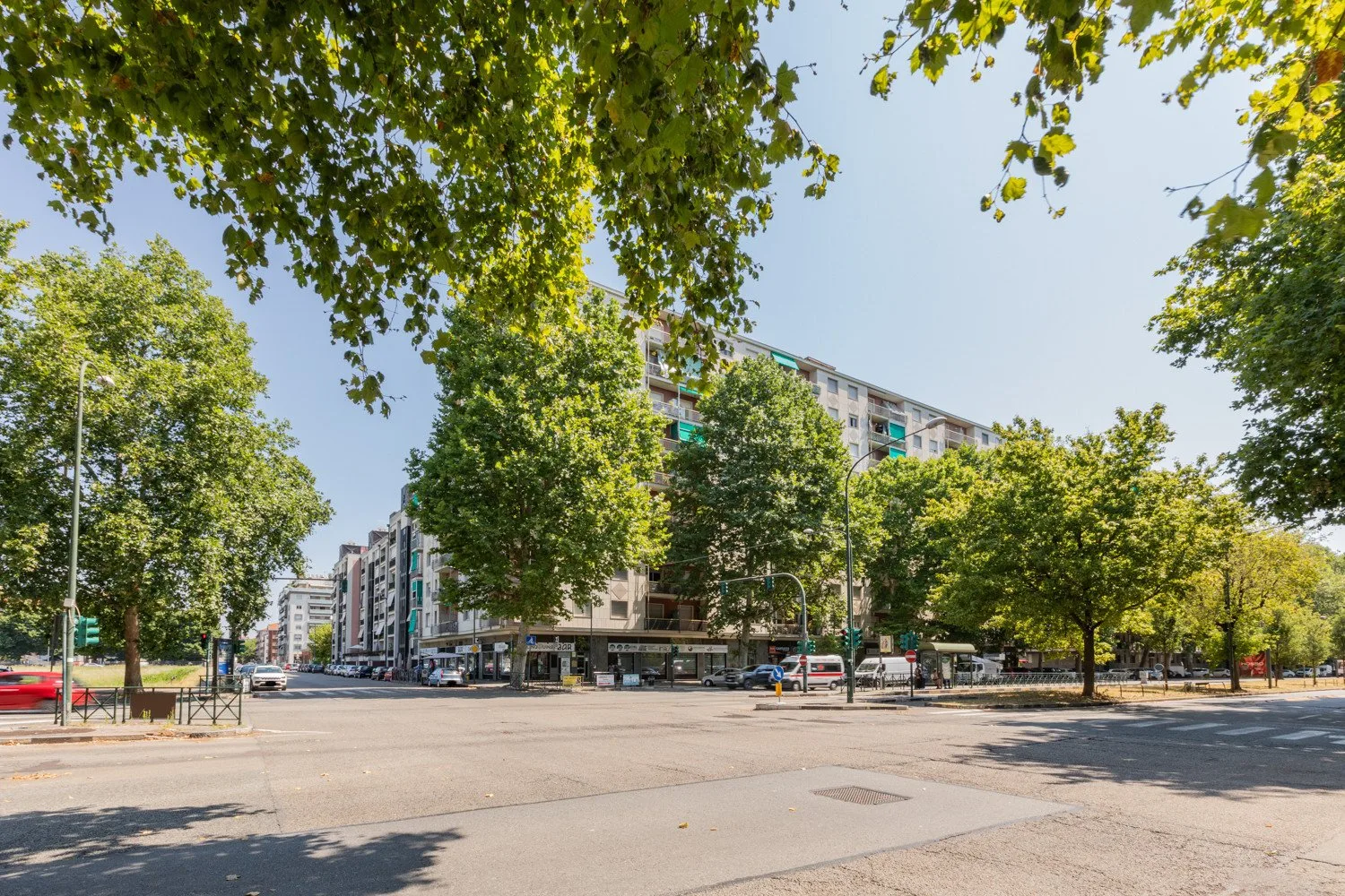 A tree-lined urban street with apartment buildings and parked cars.