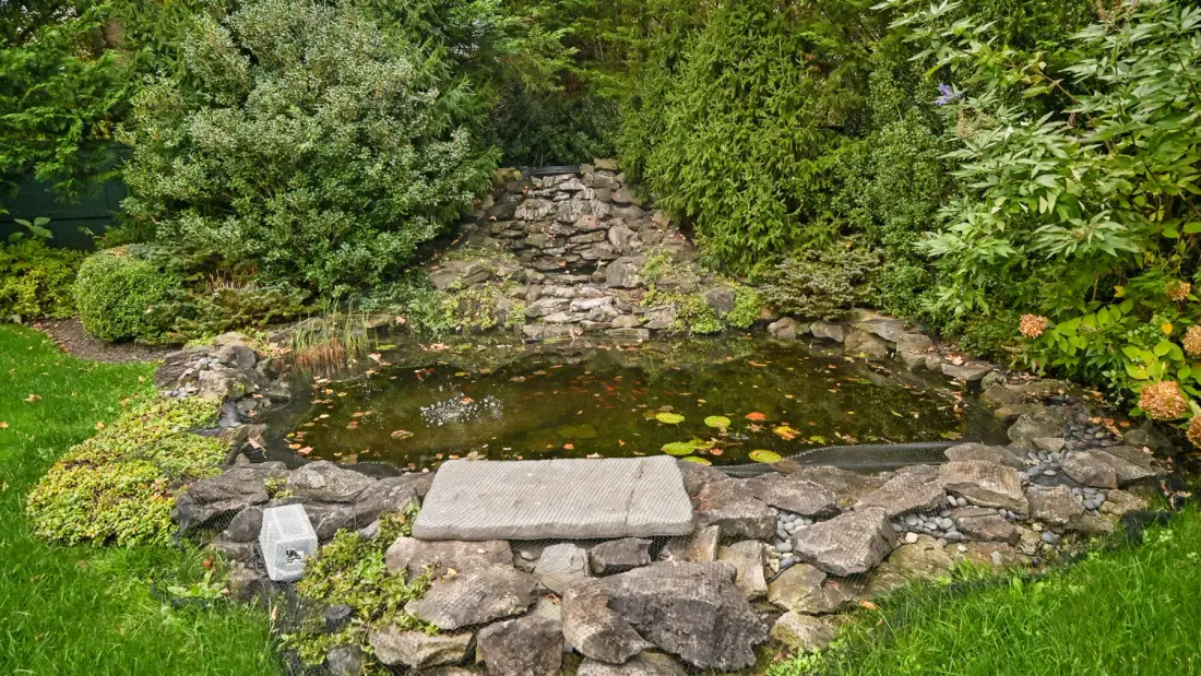 Un estanque de jardín rodeado de rocas y arbustos frondosos.