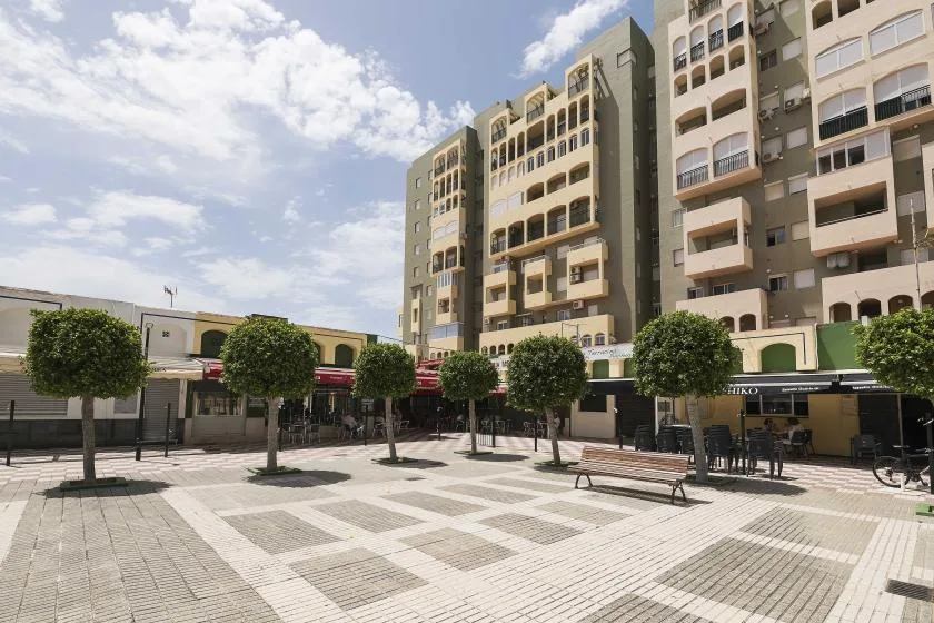 Una plaza exterior pavimentada con árboles y asientos frente a edificios de varias plantas.